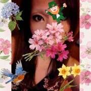 ヒメ日記 2025/03/29 09:26 投稿 あおい 多恋人