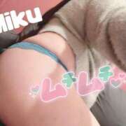 ヒメ日記 2026/02/26 15:54 投稿 みく 熟女＆人妻＆ぽっちゃり倶楽部