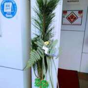 ヒメ日記 2024/12/30 11:16 投稿 のん 多恋人