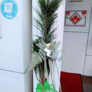 ヒメ日記 2025/01/01 12:58 投稿 のん 多恋人