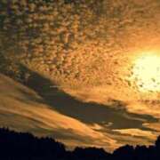 ヒメ日記 2025/01/10 11:49 投稿 茜(あかね) 高知デリヘル倶楽部 人妻熟女専門店