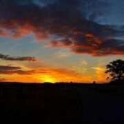 ヒメ日記 2025/01/27 14:48 投稿 茜(あかね) 高知デリヘル倶楽部 人妻熟女専門店