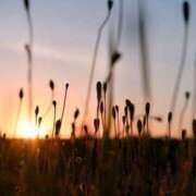 ヒメ日記 2025/03/05 13:22 投稿 茜(あかね) 高知デリヘル倶楽部 人妻熟女専門店