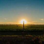 ヒメ日記 2025/03/07 15:02 投稿 茜(あかね) 高知デリヘル倶楽部 人妻熟女専門店