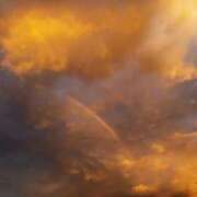 ヒメ日記 2025/06/20 14:49 投稿 茜(あかね) 高知デリヘル倶楽部 人妻熟女専門店