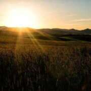 ヒメ日記 2025/07/28 14:54 投稿 茜(あかね) 高知デリヘル倶楽部 人妻熟女専門店