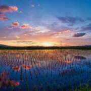 ヒメ日記 2025/09/14 13:49 投稿 茜(あかね) 高知デリヘル倶楽部 人妻熟女専門店