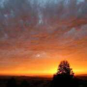 ヒメ日記 2025/09/23 17:50 投稿 茜(あかね) 高知デリヘル倶楽部 人妻熟女専門店