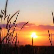 ヒメ日記 2025/11/25 17:55 投稿 茜(あかね) 高知デリヘル倶楽部 人妻熟女専門店