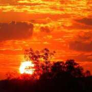 ヒメ日記 2026/02/19 18:05 投稿 茜(あかね) 高知デリヘル倶楽部 人妻熟女専門店