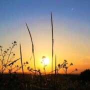 ヒメ日記 2026/03/01 18:04 投稿 茜(あかね) 高知デリヘル倶楽部 人妻熟女専門店