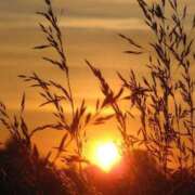 ヒメ日記 2026/03/11 18:02 投稿 茜(あかね) 高知デリヘル倶楽部 人妻熟女専門店