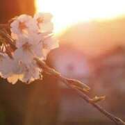 ヒメ日記 2026/03/16 17:59 投稿 茜(あかね) 高知デリヘル倶楽部 人妻熟女専門店