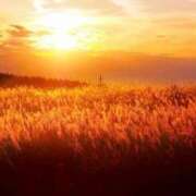 ヒメ日記 2026/04/05 17:52 投稿 茜(あかね) 高知デリヘル倶楽部 人妻熟女専門店