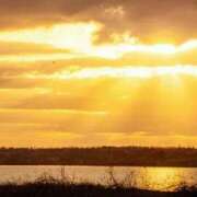 ヒメ日記 2026/04/09 17:59 投稿 茜(あかね) 高知デリヘル倶楽部 人妻熟女専門店