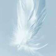 ヒメ日記 2025/06/07 19:13 投稿 明美(あけみ) 高知デリヘル倶楽部 人妻熟女専門店