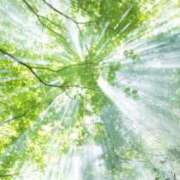 ヒメ日記 2025/06/14 19:55 投稿 明美(あけみ) 高知デリヘル倶楽部 人妻熟女専門店