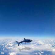 ヒメ日記 2025/06/29 21:15 投稿 明美(あけみ) 高知デリヘル倶楽部 人妻熟女専門店