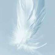 ヒメ日記 2025/07/20 23:10 投稿 明美(あけみ) 高知デリヘル倶楽部 人妻熟女専門店