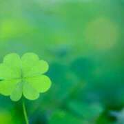 ヒメ日記 2025/08/03 22:00 投稿 明美(あけみ) 高知デリヘル倶楽部 人妻熟女専門店