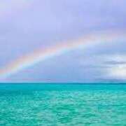 ヒメ日記 2025/08/11 19:21 投稿 明美(あけみ) 高知デリヘル倶楽部 人妻熟女専門店