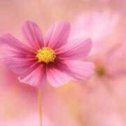 ヒメ日記 2025/11/02 20:18 投稿 明美(あけみ) 高知デリヘル倶楽部 人妻熟女専門店