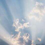 ヒメ日記 2025/11/30 02:12 投稿 明美(あけみ) 高知デリヘル倶楽部 人妻熟女専門店