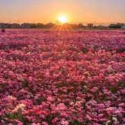 明美(あけみ) ビジネスのご新規様へ 高知デリヘル倶楽部 人妻熟女専門店