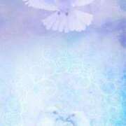 ヒメ日記 2025/12/20 01:20 投稿 明美(あけみ) 高知デリヘル倶楽部 人妻熟女専門店