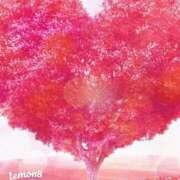 ヒメ日記 2026/01/23 00:50 投稿 明美(あけみ) 高知デリヘル倶楽部 人妻熟女専門店