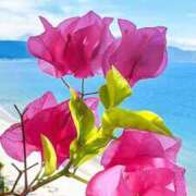 ヒメ日記 2026/01/23 20:45 投稿 明美(あけみ) 高知デリヘル倶楽部 人妻熟女専門店