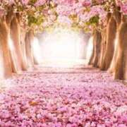 ヒメ日記 2026/01/30 23:02 投稿 明美(あけみ) 高知デリヘル倶楽部 人妻熟女専門店