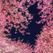 ヒメ日記 2026/02/07 09:49 投稿 明美(あけみ) 高知デリヘル倶楽部 人妻熟女専門店