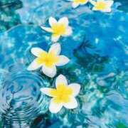 ヒメ日記 2026/02/24 18:27 投稿 明美(あけみ) 高知デリヘル倶楽部 人妻熟女専門店