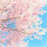 ヒメ日記 2026/04/01 07:31 投稿 明美(あけみ) 高知デリヘル倶楽部 人妻熟女専門店