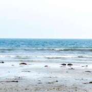 ヒメ日記 2025/04/19 18:03 投稿 佐伯(さえき) 八王子人妻城