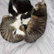 ヒメ日記 2024/12/30 17:14 投稿 恵利華(えりか) 高知デリヘル倶楽部 人妻熟女専門店