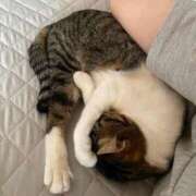 ヒメ日記 2025/06/18 12:18 投稿 恵利華(えりか) 高知デリヘル倶楽部 人妻熟女専門店