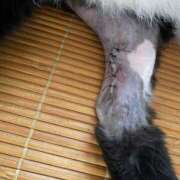 ヒメ日記 2025/08/07 11:53 投稿 恵利華(えりか) 高知デリヘル倶楽部 人妻熟女専門店