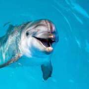 ヒメ日記 2025/08/08 01:34 投稿 恵利華(えりか) 高知デリヘル倶楽部 人妻熟女専門店