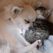 ヒメ日記 2025/08/30 00:10 投稿 恵利華(えりか) 高知デリヘル倶楽部 人妻熟女専門店