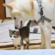 ヒメ日記 2025/09/03 00:53 投稿 恵利華(えりか) 高知デリヘル倶楽部 人妻熟女専門店