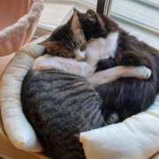 ヒメ日記 2025/10/10 02:27 投稿 恵利華(えりか) 高知デリヘル倶楽部 人妻熟女専門店