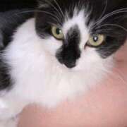 ヒメ日記 2025/10/15 00:28 投稿 恵利華(えりか) 高知デリヘル倶楽部 人妻熟女専門店