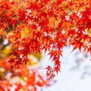 ヒメ日記 2025/11/10 02:19 投稿 恵利華(えりか) 高知デリヘル倶楽部 人妻熟女専門店