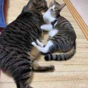 ヒメ日記 2026/03/11 23:23 投稿 恵利華(えりか) 高知デリヘル倶楽部 人妻熟女専門店