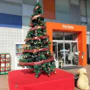 ヒメ日記 2024/12/07 17:28 投稿 栞奈(かんな) 高知デリヘル倶楽部 人妻熟女専門店