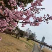 ヒメ日記 2025/03/06 12:55 投稿 栞奈(かんな) 高知デリヘル倶楽部 人妻熟女専門店