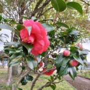 ヒメ日記 2025/03/27 10:55 投稿 栞奈(かんな) 高知デリヘル倶楽部 人妻熟女専門店