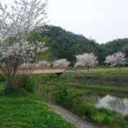 ヒメ日記 2025/04/20 16:35 投稿 栞奈(かんな) 高知デリヘル倶楽部 人妻熟女専門店